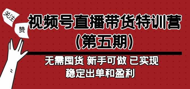 视频号直播带货特训营（第五期）无需囤货，新手可做，已实现稳定出单和盈利-泡泡爱学习哦