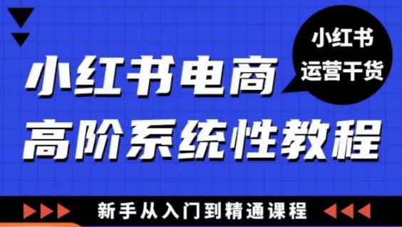 小红书电商高阶系统教程，新手从入门到精通系统课-泡泡爱学习哦