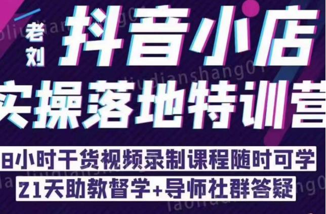 抖音小店实操落地特训营：抖音小店无货源精细化运营，抖店商品卡流量（22节）-泡泡爱学习哦