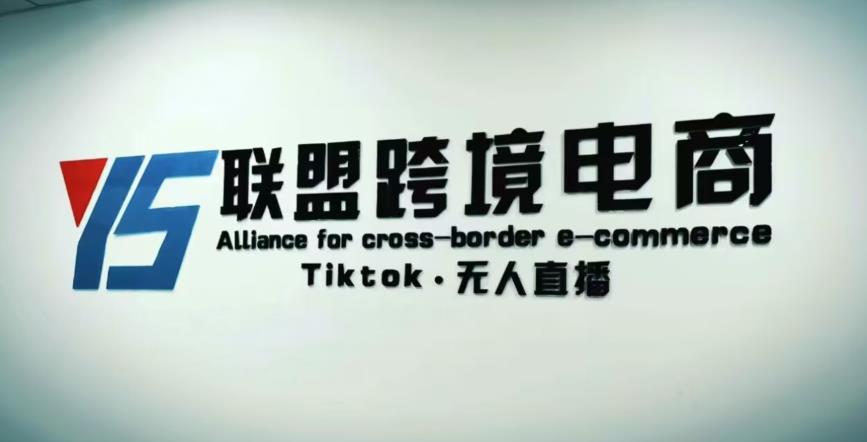 YS联盟·Tiktok无人直播，不出镜不剪辑不拍摄不发货无售后的跨境短视频躺赚玩法-泡泡爱学习哦