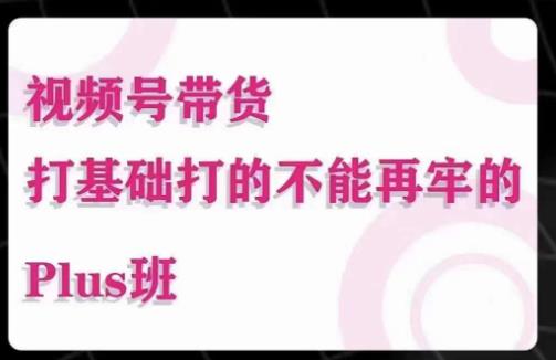 大播汇·视频号带货Puls班，视频号底层逻辑，起号自然流鱼塘等玩法-泡泡爱学习哦