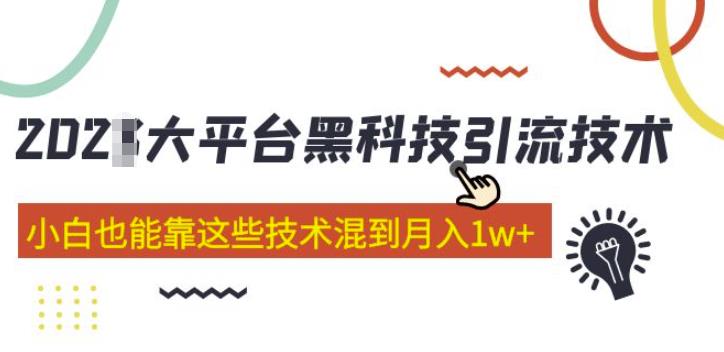 大平台黑科技引流技术，小白也能靠这些技术混到月入1w+(2022年的课程）-泡泡爱学习哦
