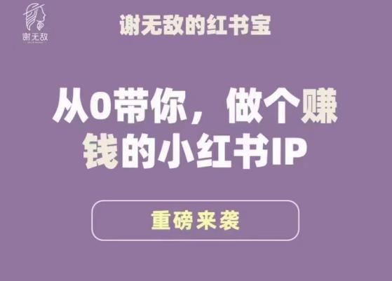 谢无敌·小红书运营大宝典，从0带你做个赚钱的小红书IP-泡泡爱学习哦