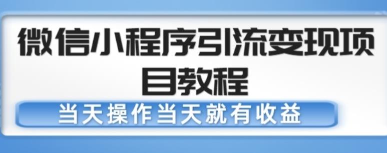 微信小程序引流变现项目教程，当天操作当天就有收益，变现不再是难事-泡泡爱学习哦