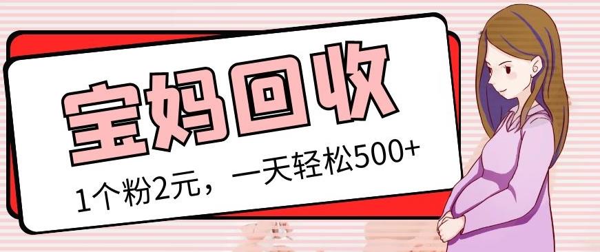最新宝妈粉回收变现计划及胎教音乐高端变现玩法全套教程！（非老玩法）-泡泡爱学习哦