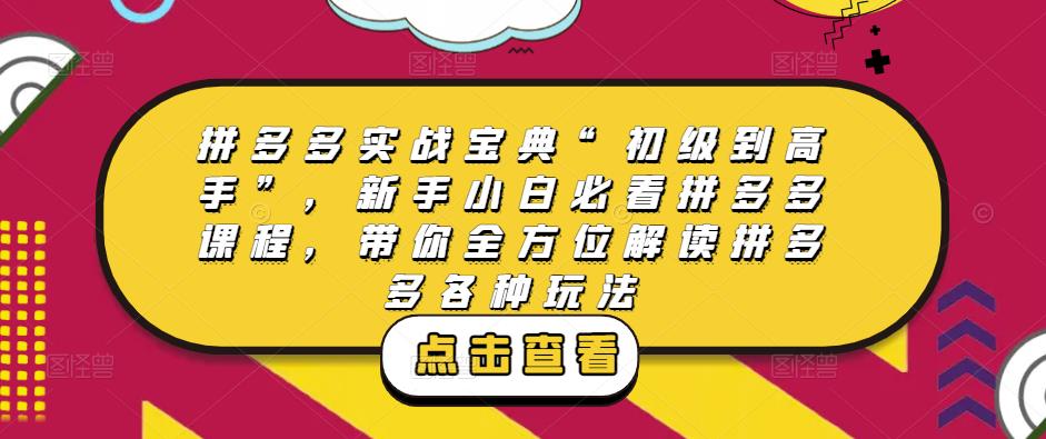 图片[1]-拼多多实战宝典“初级到高手”，新手小白必看拼多多课程，带你全方位解读拼多多各种玩法-泡泡爱学习哦