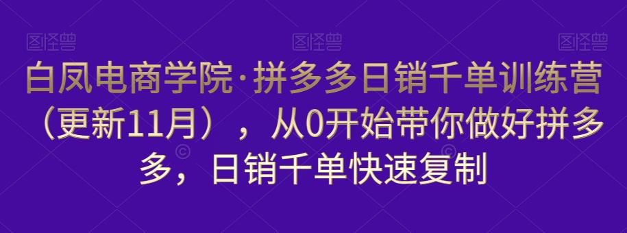 白凤电商学院·拼多多日销千单训练营，从0开始带你做好拼多多，日销千单快速复制（更新知2023年3月）-泡泡爱学习哦