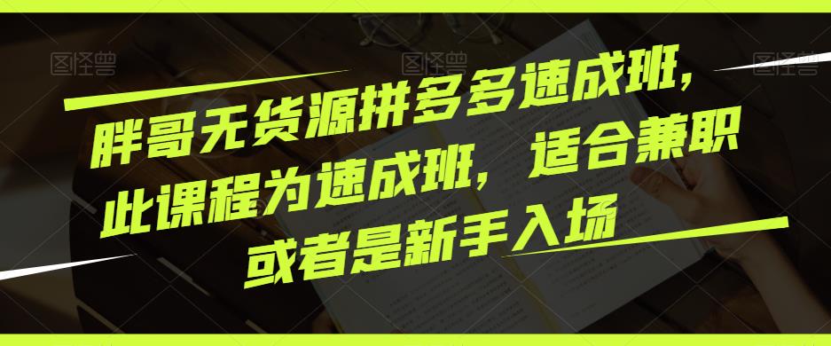 胖哥无货源拼多多速成班，此课程为速成班，适合兼职或者是新手入场-泡泡爱学习哦