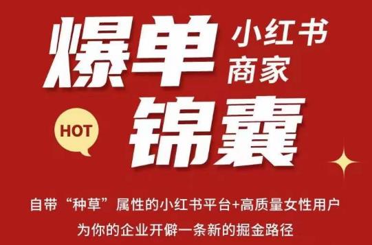 无畏·小红书商家爆单锦囊，掌握小红书各大规则，快速精准抢占行业和市场-泡泡爱学习哦