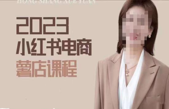 2023小红书电商课，新手小白从0~1玩转小红书薯店电商-泡泡爱学习哦