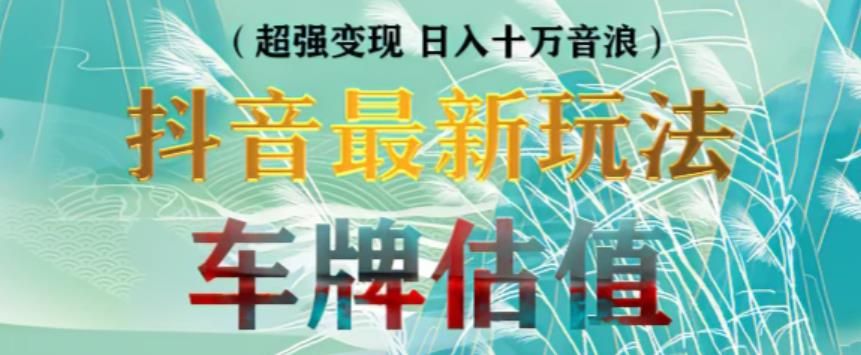抖音最新无人直播变现直播车牌估值玩法项目，轻松日赚几百+【详细玩法教程】-泡泡爱学习哦
