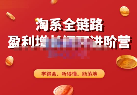 淘系全链路盈利增长闭环进阶营，融合全店动销，学得会、听得懂、能落地！-泡泡爱学习哦