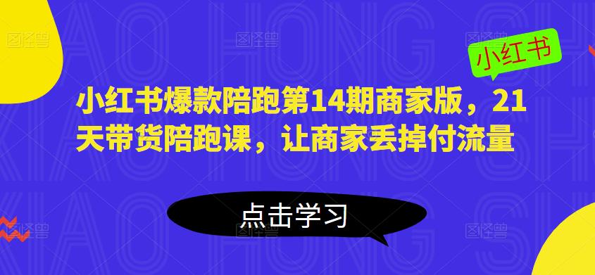 小红书爆款陪跑第14期商家版，21天带货陪跑课，让商家丢掉付流量-泡泡爱学习哦