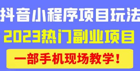 抖音小程序9.0新技巧，2023热门副业项目，动动手指轻松变现-泡泡爱学习哦