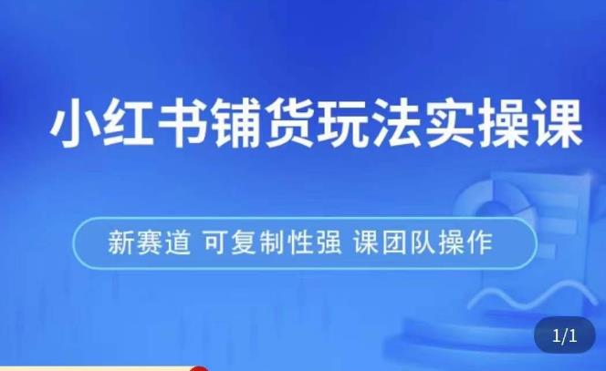 小红书铺货玩法实操课，流量大，竞争小，非常好做，新赛道，可复制性强，可团队操作-泡泡爱学习哦