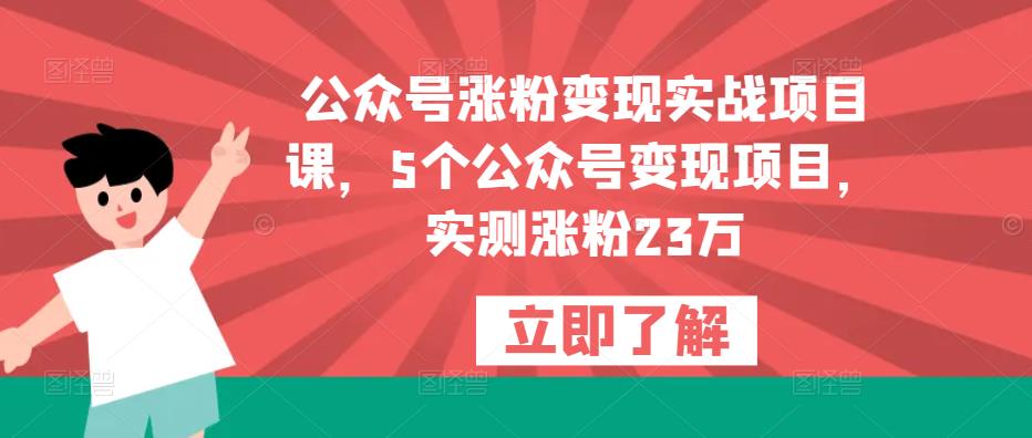 公众号涨粉变现实战项目课，5个公众号变现项目，实测涨粉23万-泡泡爱学习哦