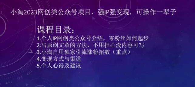 小淘2023网创类公众号项目，强IP强变现，可操作一辈子-泡泡爱学习哦