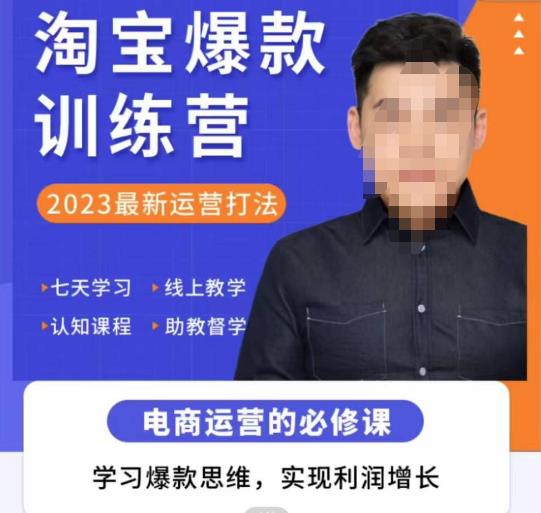 爱上黄昏·淘宝爆款训练营，2023最新运营打法，学习爆款思维，实现利润增长-泡泡爱学习哦