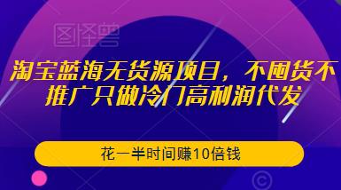 淘宝蓝海无货源项目，不囤货不推广只做冷门高利润代发，花一半时间赚10倍钱-泡泡爱学习哦