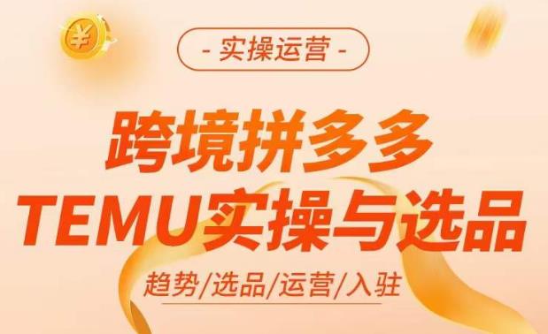 跨境拼多多TEMU实操与选品，​掌握平台运营方法技巧，选品避坑12条标准，爆款的底层思路等-泡泡爱学习哦