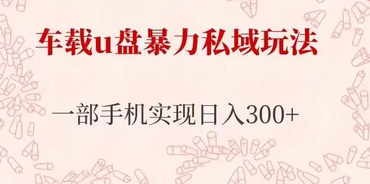 车载u盘暴力私域玩法，长期项目，仅需一部手机实现日入300+-泡泡爱学习哦