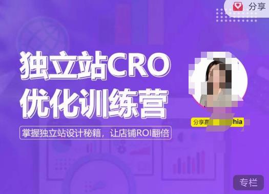独立站CRO优化训练营，掌握独立站设计秘籍，打造高转化的独立站，让店铺ROI翻倍-泡泡爱学习哦