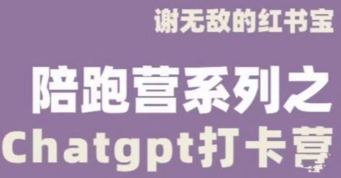 谢无敌ChatGPT打卡营，教你更好地使用ChatGPT来提高工作效率-泡泡爱学习哦
