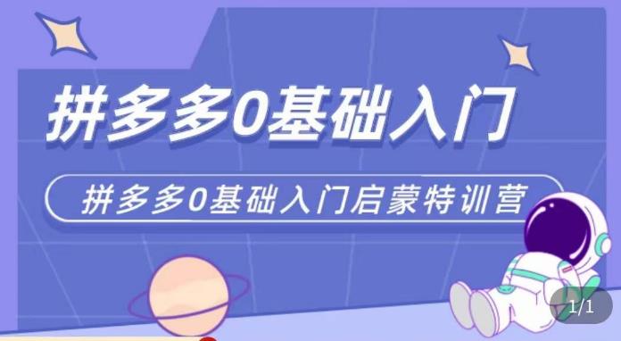 六一电商·拼多多运营0-1实操特训营，拼多多从基础到进阶的可实操玩法-泡泡爱学习哦