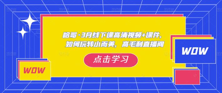 哈哥·3月线下实操课高清视频+课件，如何玩转小而美，高毛利直播间-泡泡爱学习哦