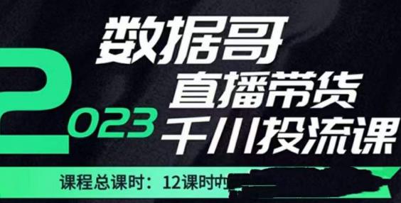 数据哥2023直播电商巨量千川付费投流实操课，快速掌握直播带货运营投放策略-泡泡爱学习哦