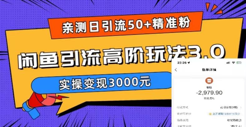 亲测日引50+精准粉，闲鱼引流高阶玩法3.0，实操变现3000元【揭秘】-泡泡爱学习哦