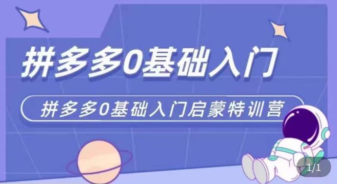拼多多运营0-1实操特训营，拼多多0基础入门，从基础到进阶的可实操玩法-泡泡爱学习哦
