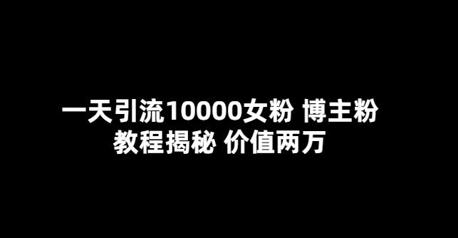 一天引流10000女粉，博主粉教程揭秘（价值两万）-泡泡爱学习哦