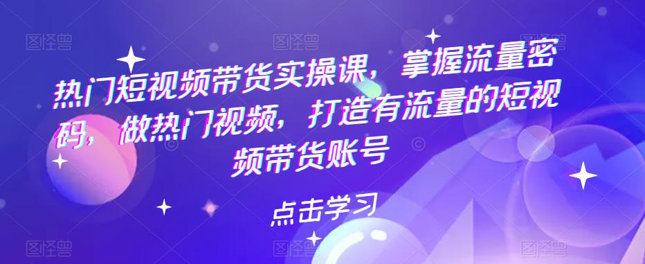 热门短视频带货实操课，掌握流量密码，做热门视频，打造有流量的短视频带货账号-泡泡爱学习哦