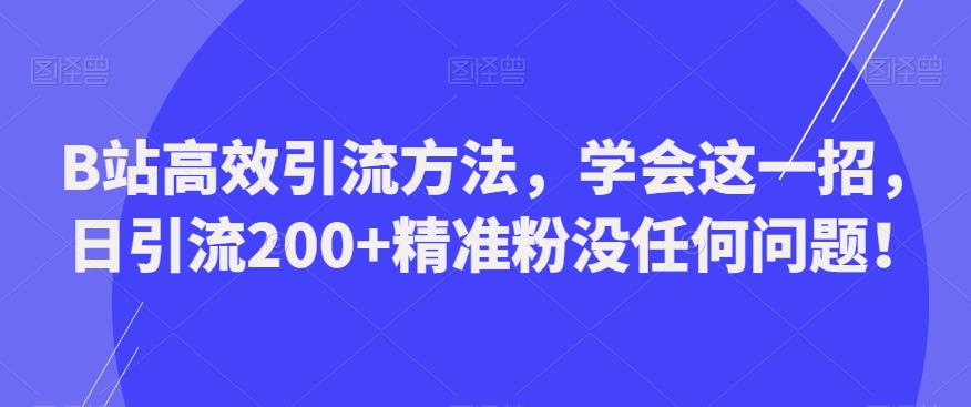 B站高效引流方法，学会这一招，日引流200+精准粉没任何问题【揭秘】-泡泡爱学习哦