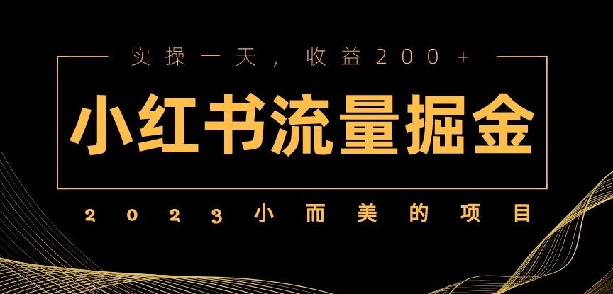 2023小而美的项目，小红书流量掘金，实操一天，收益200+【揭秘】-泡泡爱学习哦