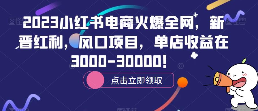 2023小红书电商火爆全网，新晋红利，风口项目，单店收益在3000-30000！-泡泡爱学习哦