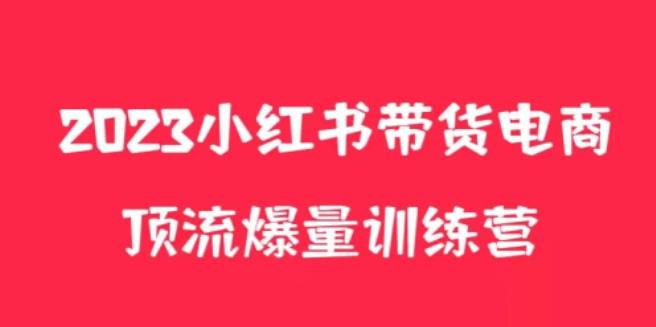 小红书电商爆量训练营，养生花茶实战篇，月入3W+-泡泡爱学习哦