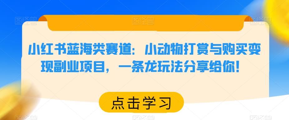 小红书蓝海类赛道：小动物打赏与购买变现副业项目，一条龙玩法分享给你！-泡泡爱学习哦