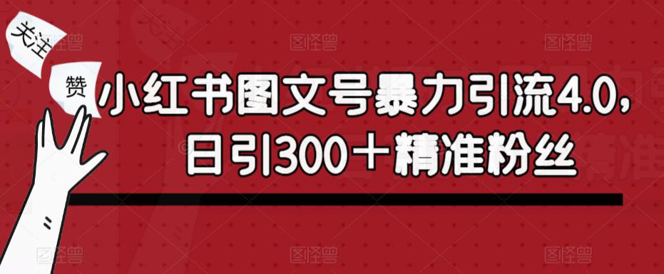 小红书图文号暴力引流4.0，日引300＋精准粉丝【揭秘】-泡泡爱学习哦