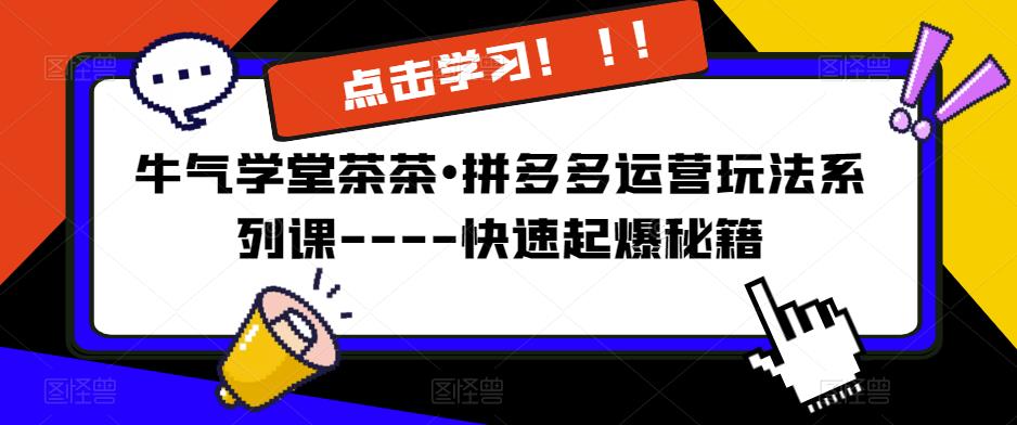 牛气学堂茶茶•拼多多运营玩法系列课—-快速起爆秘籍【更新】-泡泡爱学习哦