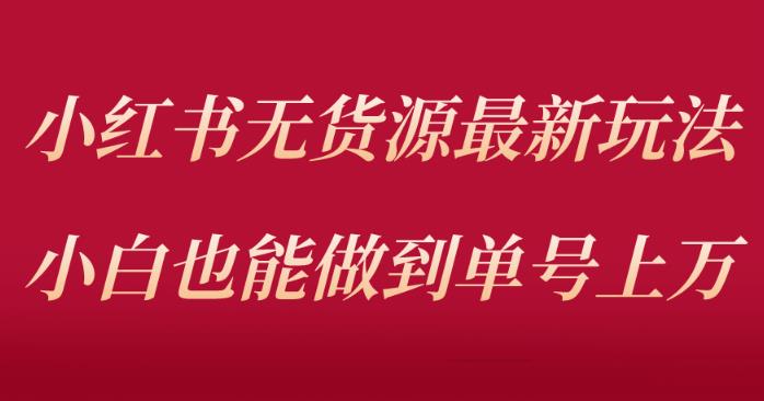 小红书无货源最新螺旋起号玩法，电商小白也能做到单号上万（价值3980元）-泡泡爱学习哦