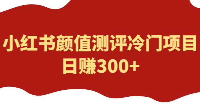外面1980的项目，小红书颜值测评冷门项目，日赚300+【揭秘】-泡泡爱学习哦