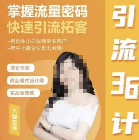 大猫·引流36计，掌握流量密码，快速引流拓客，帮创业小白找到更多客户，帮中小微企业走出困境-泡泡爱学习哦