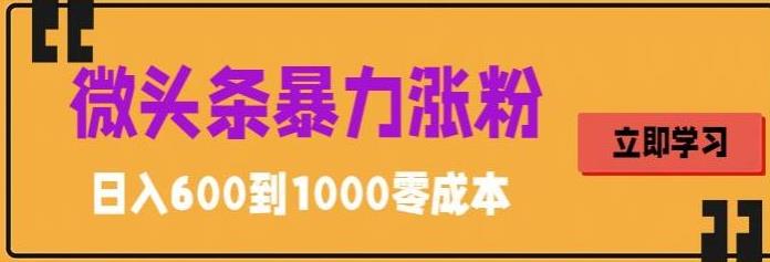 微头条暴力涨粉技巧搬运文案就能涨几万粉丝，简单0成本，日赚600【揭秘】-泡泡爱学习哦