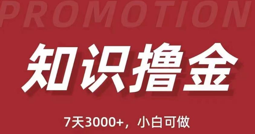 抖音知识撸金项目：简单粗暴日入1000+执行力强当天见收益(教程+资料)-泡泡爱学习哦