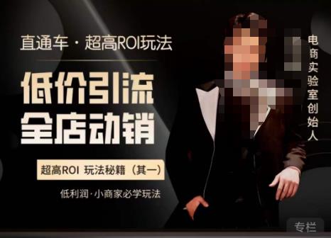 电商冰可乐·直通车·《低价引流·全店动销》，直通车·超高ROI玩法（其一）全店动销必学玩法-泡泡爱学习哦