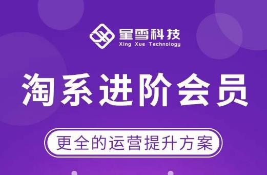 星雪·淘系进阶课程，快速提升突破技能流量瓶颈必备（更新2023年5月）-泡泡爱学习哦