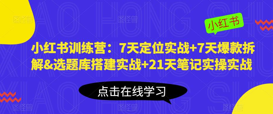 小红书训练营：7天定位实战+7天爆款拆解&选题库搭建实战+21天笔记实操实战-泡泡爱学习哦