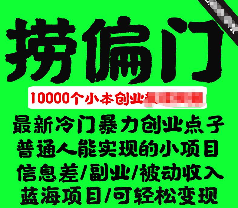 千款捞偏门小本创业小项目，总有一款适合你-泡泡爱学习哦
